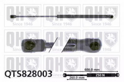 QUINTON HAZELL qts828003 -  